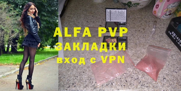 индика Алексин