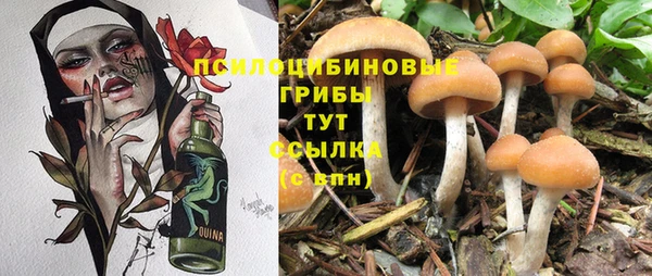 гидропоника Алзамай