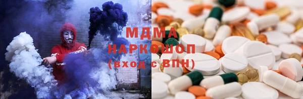 индика Алексин
