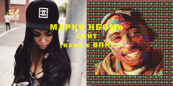 индика Алексин