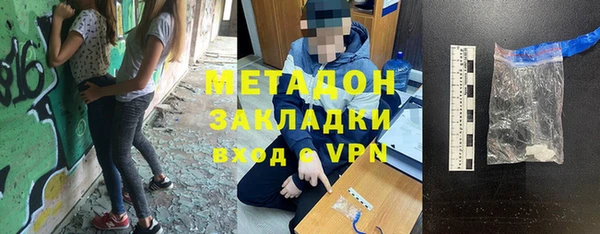 индика Алексин