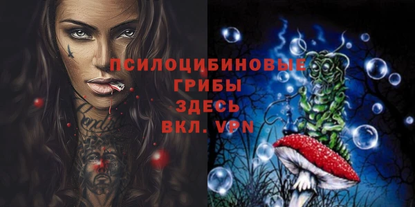 гидропоника Алзамай
